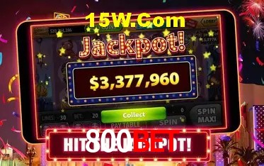 800Bet - Winners Celebration